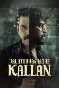 Valathu Vasathe Kallan